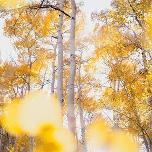 Meet your Posher, Marianne